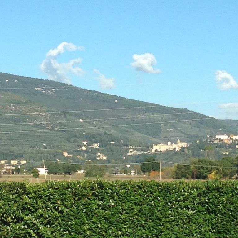 Le Ghiande Guest House Spello Exterior photo