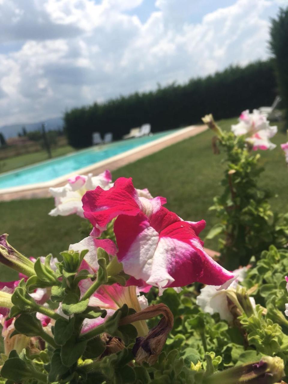 Le Ghiande Guest House Spello Exterior photo